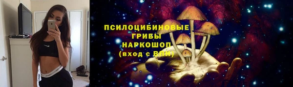 прущие крисы Арсеньев