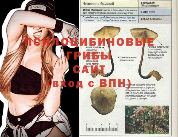 прущие крисы Арсеньев